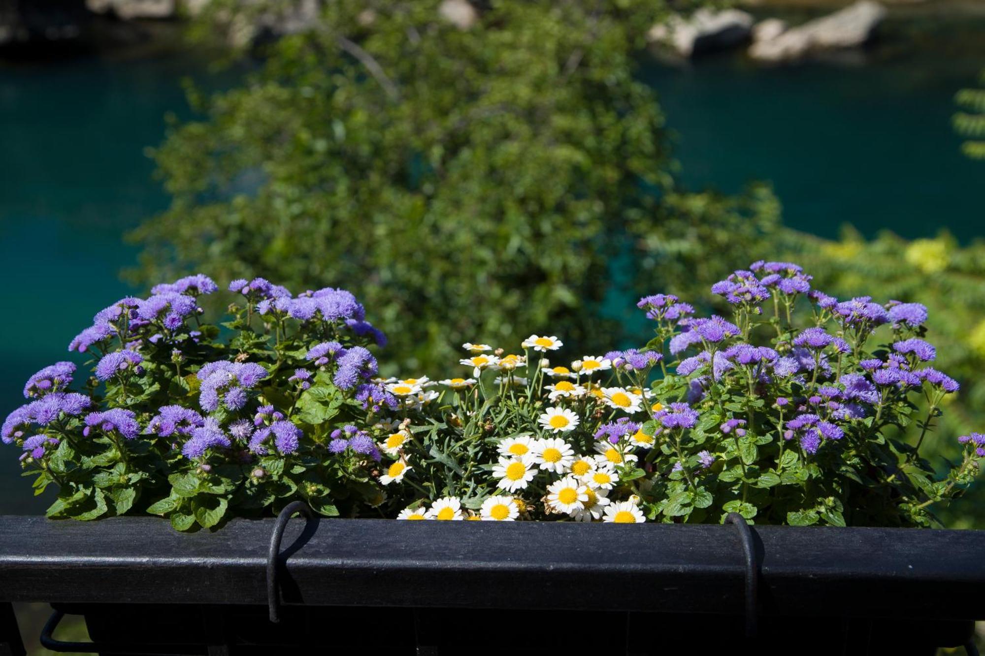 Apartman Flumen Mostar Esterno foto
