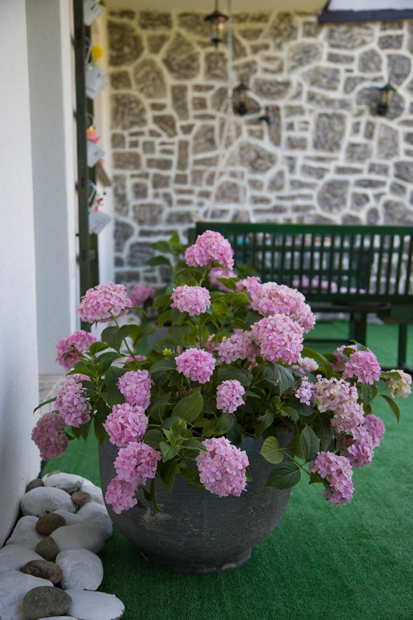 Apartman Flumen Mostar Esterno foto